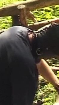 Homem mascarado amarra madura milf para jogo de vibrador ao ar livre