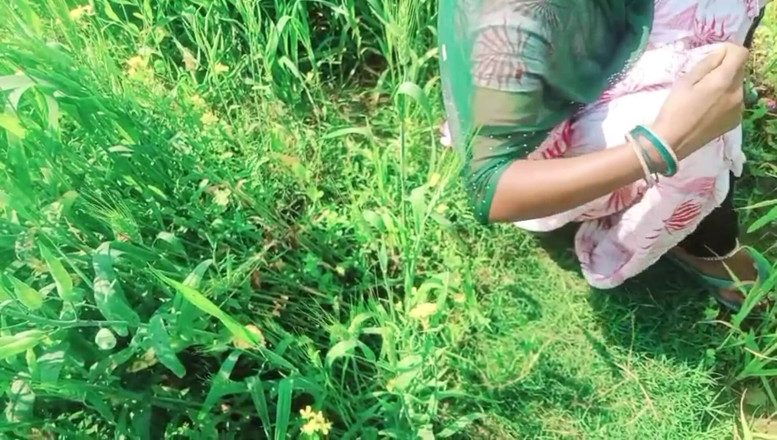 Bk Vlogs: Dorf Bhabhi sexy video auf Weizenfeldern