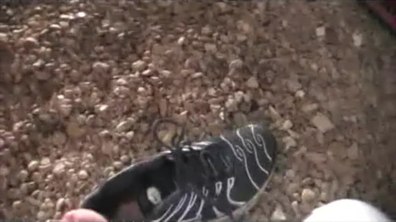 Sneaker gay: Sally boy masturbation in sneaker