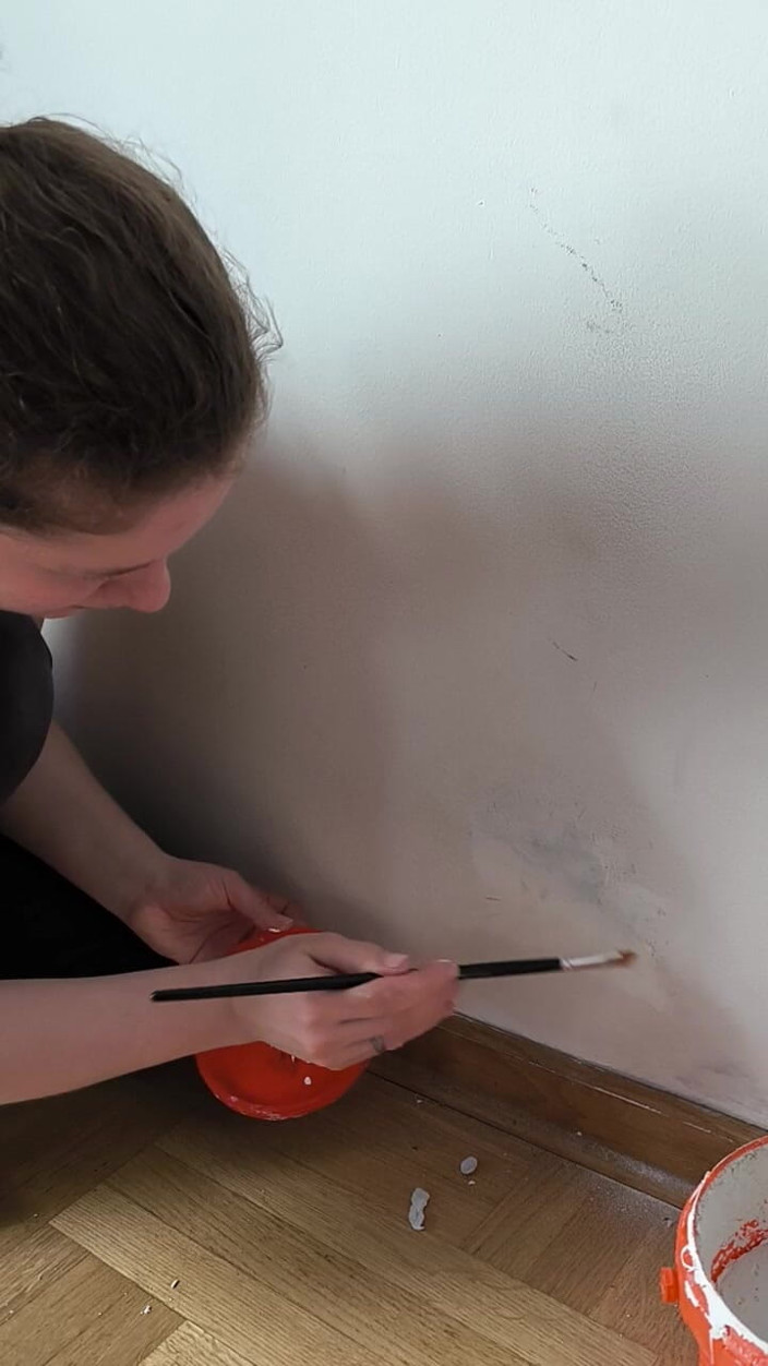 FenekManul: Wall Painting with Reparation Princess