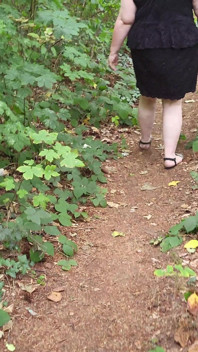 Walk in the Woods Who I Meet Today
