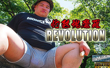 Studio Gumption: Flaming damara revolution