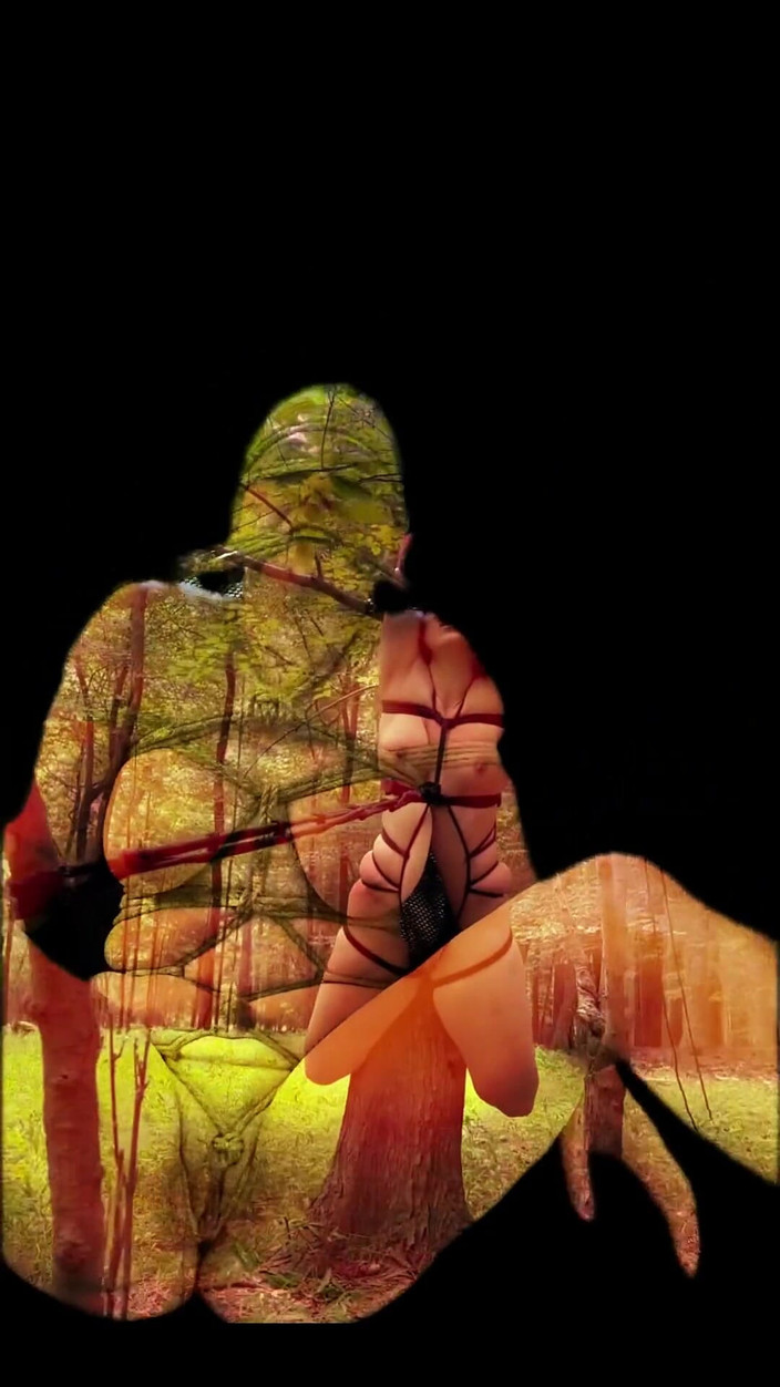 Suzy Wylde: 시바리의 여름