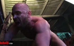 Alphamales - Men cruise each other