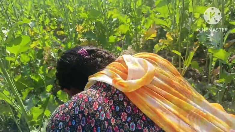 Savita5343: Làng Desi Bhabhi đụ trong cánh đồng mù tạt theo kiểu chó....