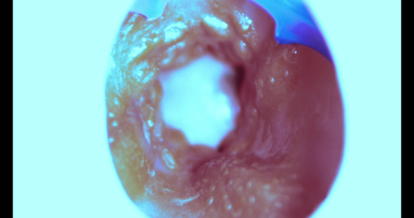 SEXY_GUYBEST: Як я трахаюся зсередини! Камера всередині!