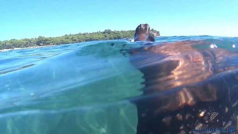 Nylondelux: Black Stocking in the Sea