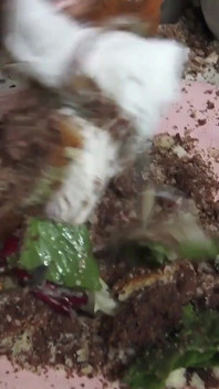 Cewek penghinaan ekstrem ini dientot habis-habisan - pov! Hanya untuk Real Gourmets!