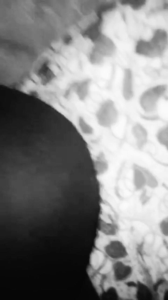 Oladi plenty tv: Ragazza giapponese pronta per il vero sesso