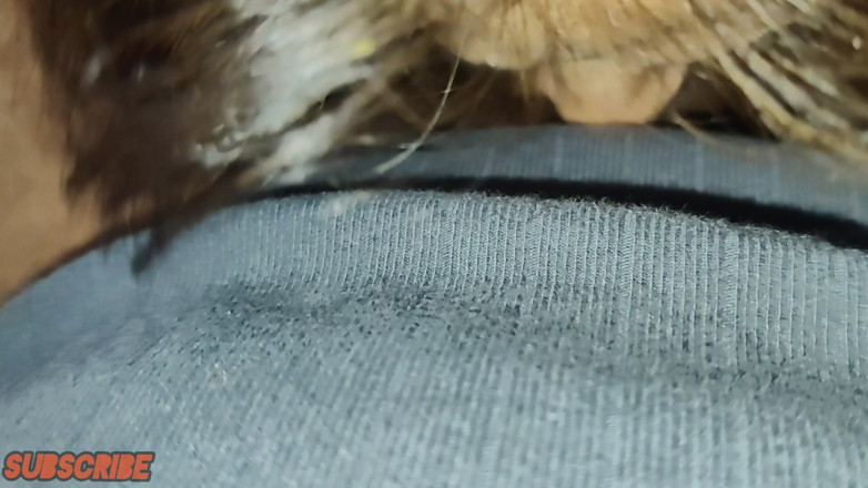 Kapsims: Subscriberku tiba-tiba datang ke rumahku dan ngentot aku habis-habisan