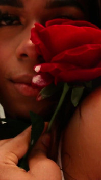 Romantic Day