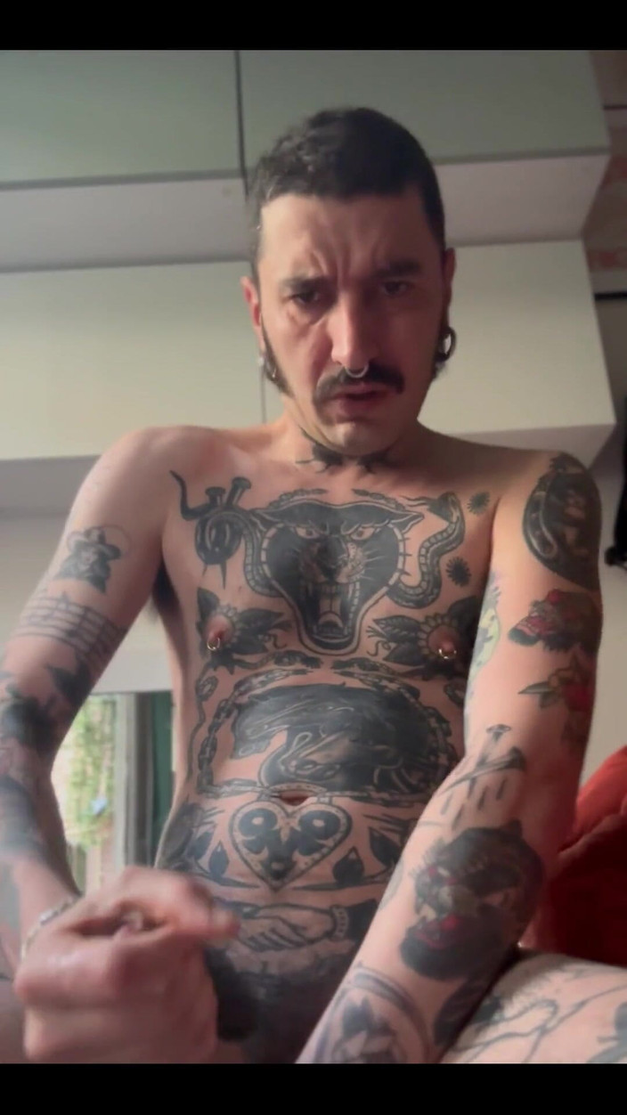 Stallion papi: Sebe láska dnes ráno