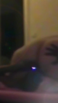 BBW Gets Licked, Backshoots and Pounded