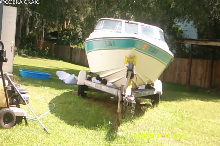 COBRA CRAIG: Color Restoration Goes Well and Cobras Tiny Bu Tt Cheeks...
