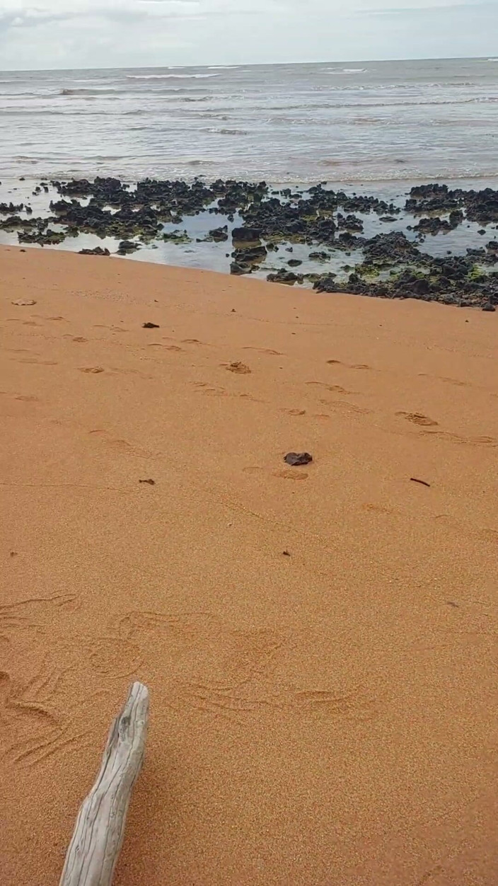 Ladysilvas: Ladysilva se masturbe la bite sur une plage déserte jusqu’à...