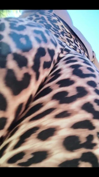 I Was a Cheetah Girl Today. I Had a Good Route in the Burbs and Was Cool with My Cheeta Print
