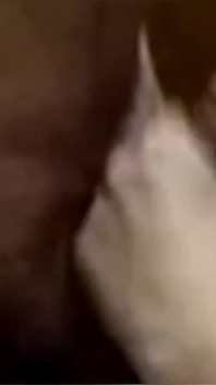 Splendida moglie succhia il cazzo