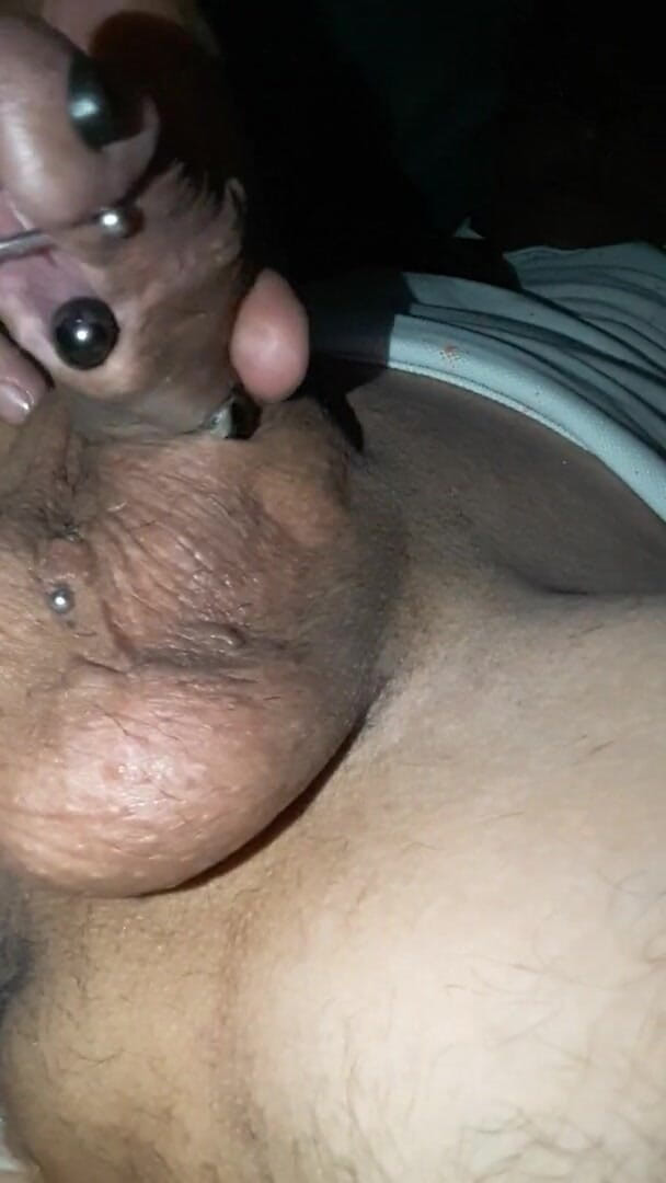 Renoreis: Pengenalan.