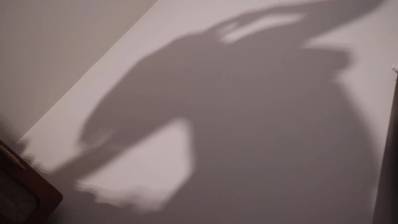 Countess diamond: Worship My Shadow - My Pleasure, Your Denial