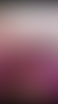 3815453437.mp4