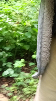 Big Uncut Cock Out Walking, Pissing, Wanking in the Woods Wearing Cords - Rockard Stepdaddy