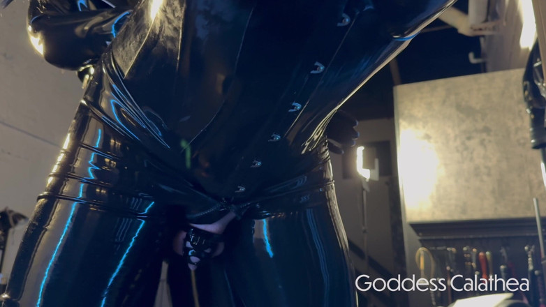 Goddess Calathea: Clavando un gimp en bondage de binder de brazo