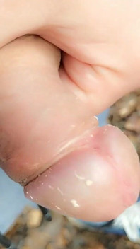 Une bite coquine non lavée se promène dans la nature, partie 1