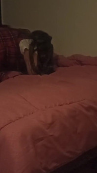 Por que você está tocando minha bunda? Eu gosto disso! Eu fiz a garota rabuda me visitar depois da aula!! É assim que nossa matemática projeto