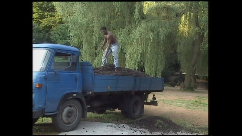 Deutschland porn: O mamă sexy blondă a sedus un bărbat negru înainte de...