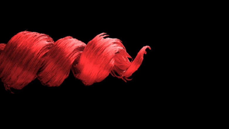 Rex Ringo XXX Productions: Yetişkin film aktrisi Celeste ile bts