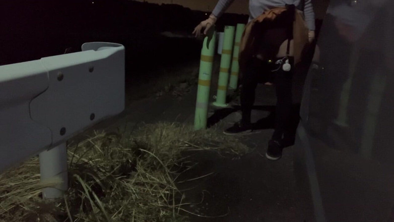 megu2002: 독립 훈련 No32 강아지 자세 야간 산책 중