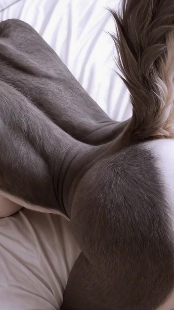 Furry
