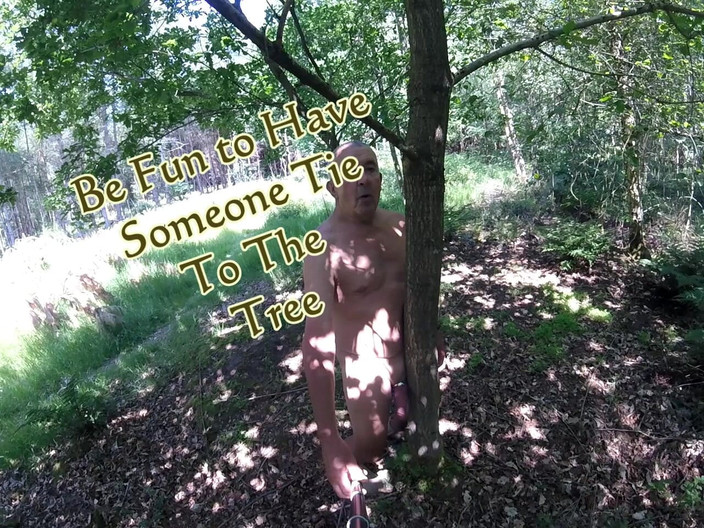 Andy: Procházka 40 2025