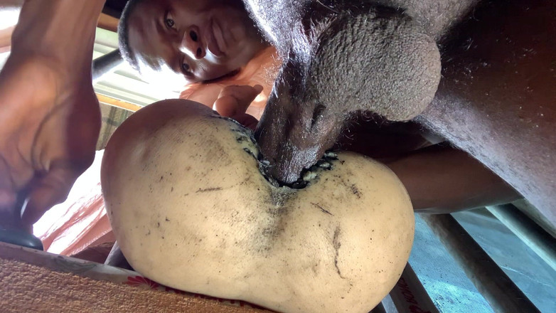 Bangcum8: Pantat besar amatur terlalu ketat membuatkan saya pancut cepat yang...