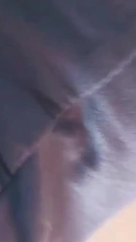 오, 나는 최근에 너무 가스가되었습니다, 나는 여기에 당신을 위해 약 30 방귀입니다 무엇보다 내 방귀를 기록 생각, 그는 ...