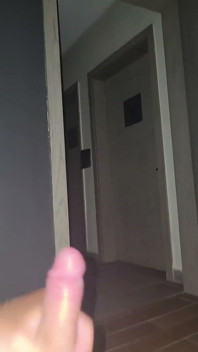 Public Hotel Wank