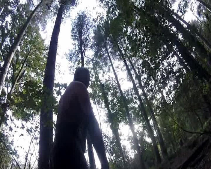 Andy: Bagian 3 permainan mesok di hutan