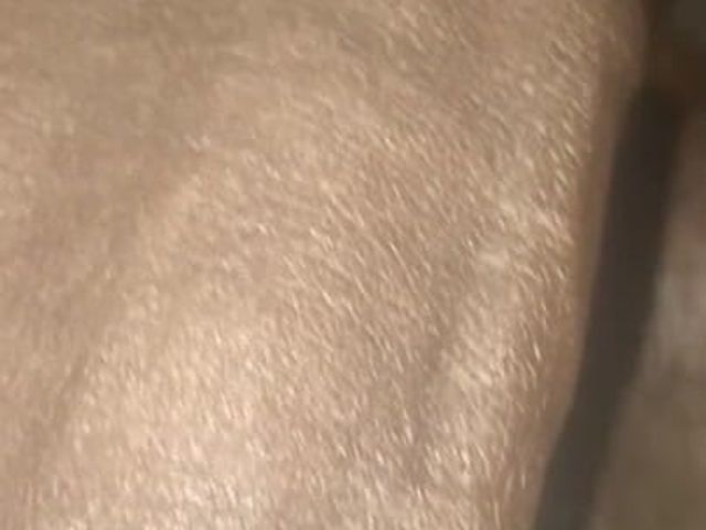 So Bigg (Chocolatemeatstick)