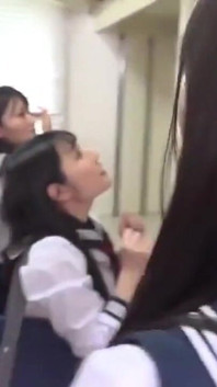 研究编号00001-1