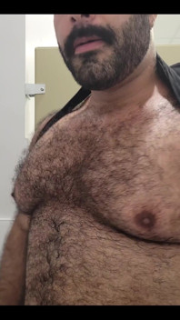 Solo Bear