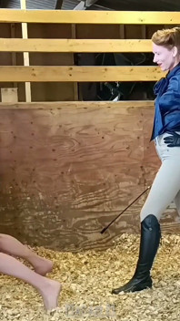 La stalla sadica distrugge il ballbusting estremo e la punizione ritagliata