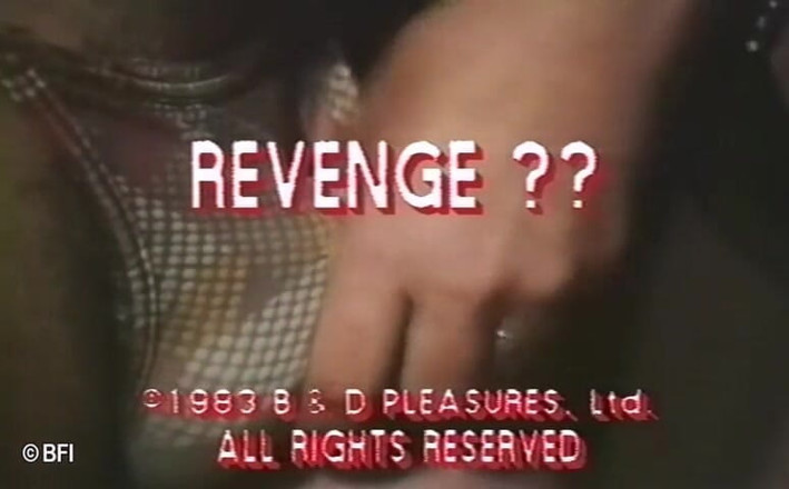 Hardcore slave sex: 2 ore di piacere estremo DVD