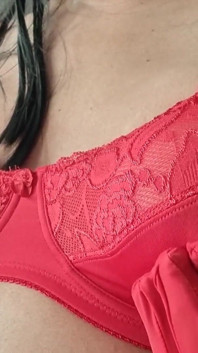 D Cup Red Lace Big Bra