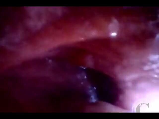 Lina Free: 第一人称视角 极端深度探索！快速可见的心跳