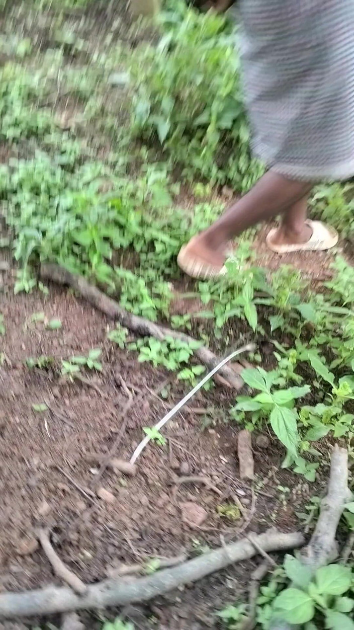 Mg3947731: 丈夫妻子完整的德希性感视频