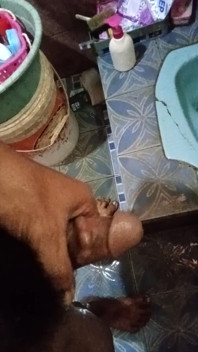 Dick Seed Rod
