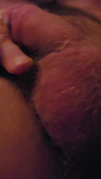 Penis Show