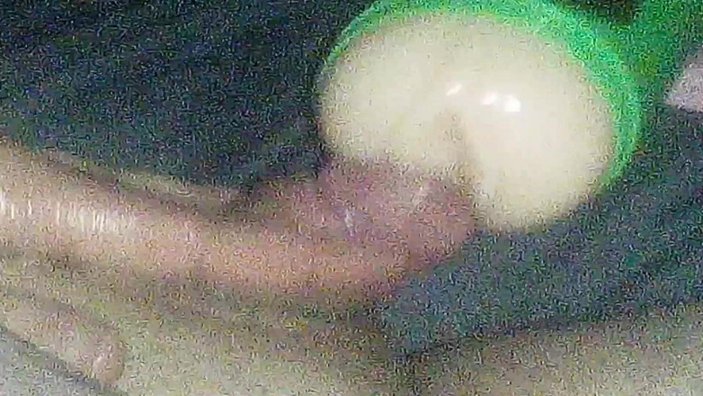 kinkylittledickie: 猫aに性交機械初めてに小さなディック