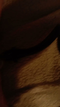 Pumping That Pussy