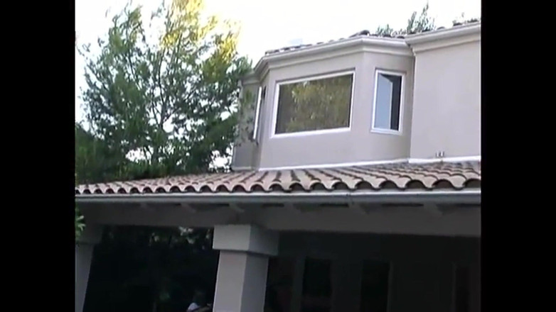 Bisco Birchwood Productions: Куряче шоу, азіатські тінки прибиті!